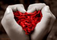/album/fotogaleria-fotogaleria/eu-queria-ser-amor-geisa-1-jpg/